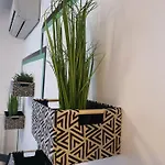 Upground14 * ブカレスト